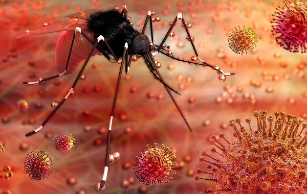Một số biến chứng nguy hiểm của sốt xuất huyết