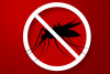6 điều Bộ Y Tế khuyên làm để phòng bệnh sốt xuất huyết